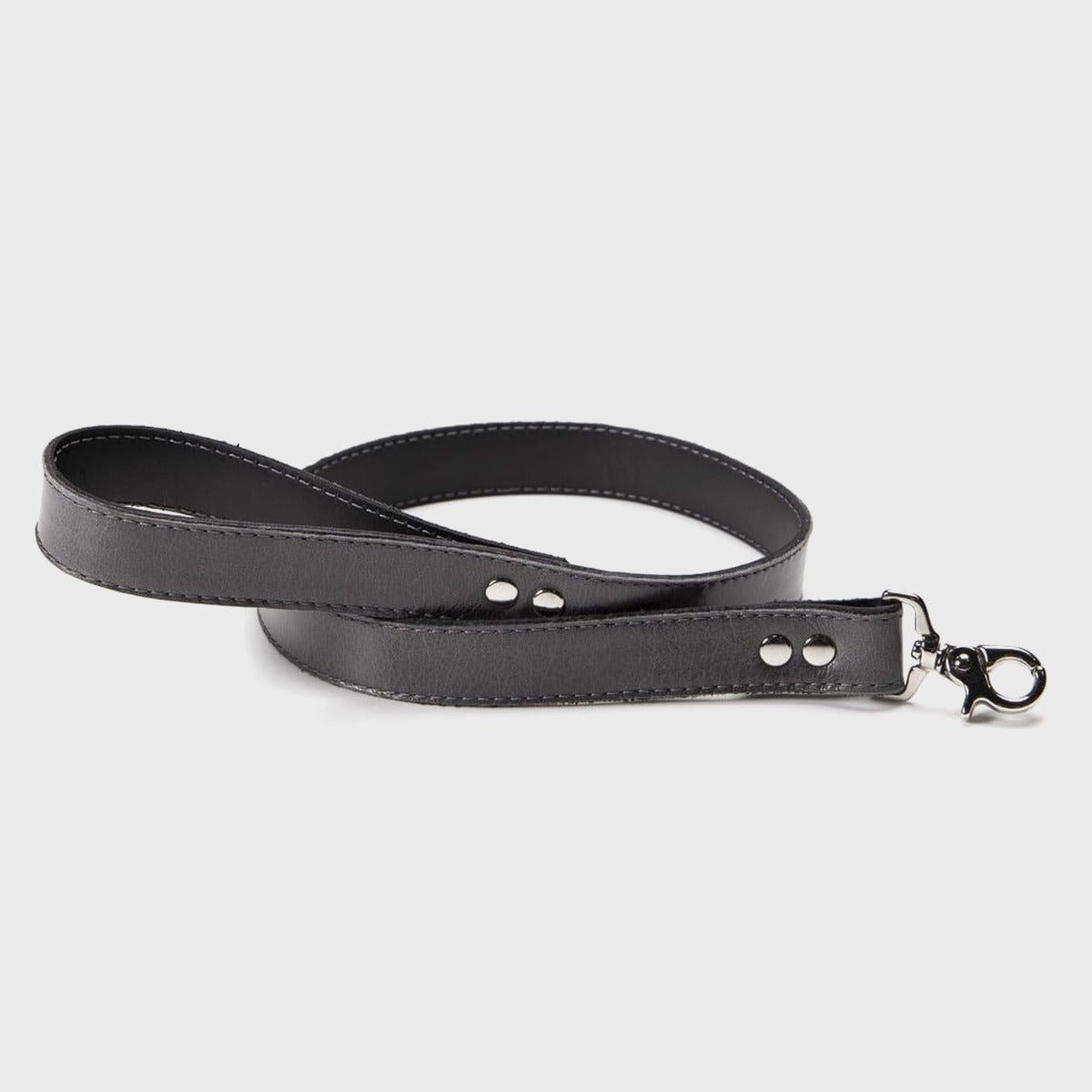 Maestro Leash
